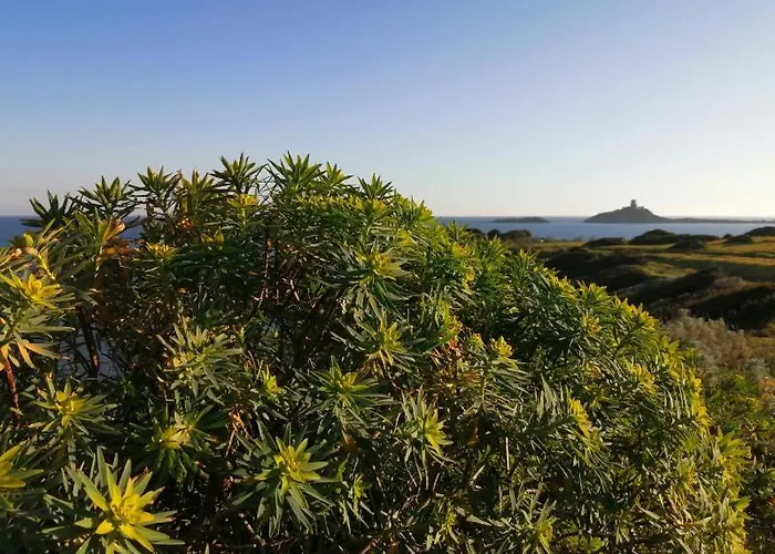 Is Molas Domus Gaia Pula